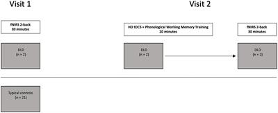 Tracking Changes in Frontal Lobe Hemodynamic Response in Individual Adults With Developmental Language Disorder Following HD tDCS Enhanced Phonological Working Memory Training: An fNIRS Feasibility Study